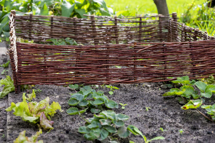 dobar Beeteinfassungen aus Weide